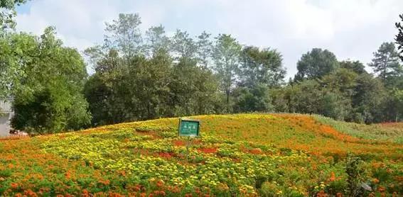 永州到底是几线城市,目前永州是几线城市