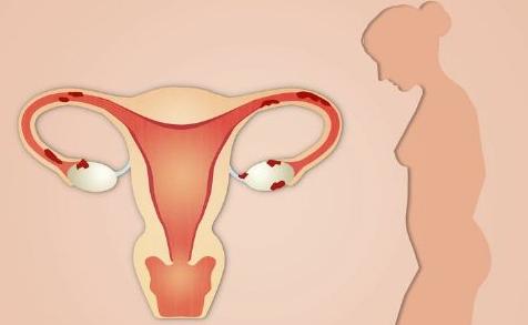 月经过去几天才有卵子,月经过去几天后容易受孕