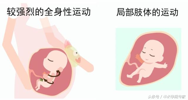 二胎什么时候开始感觉胎动,胎动最早什么时候开始