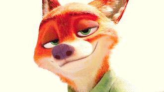 全国34个省市自治区“代表肉”集合完毕！