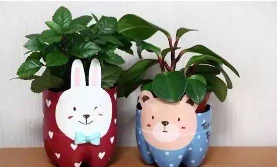 矿泉水瓶手工幼儿园视频,幼儿园手工制作矿泉水瓶飞机