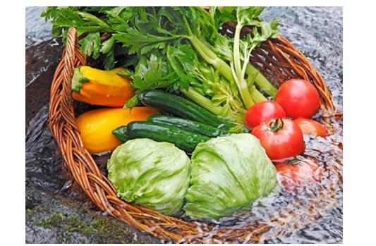 果蔬农药残留的危害,果蔬的农药残留与人体健康