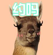 合肥老司机常去的地方,青岛市区情侣约会好去处