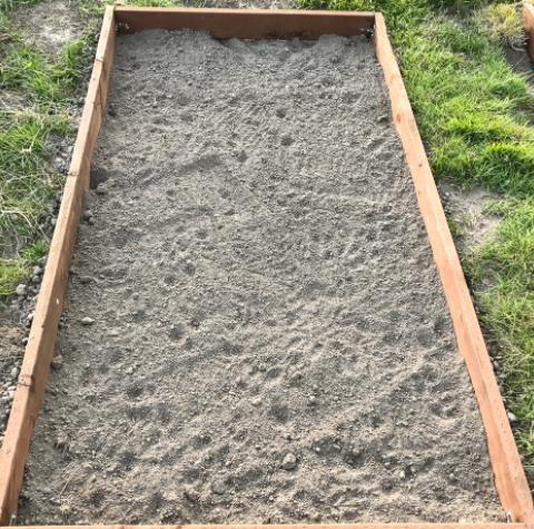 盆栽薰衣草养护技巧与方法图片,薰衣草盆栽的简单养法图片