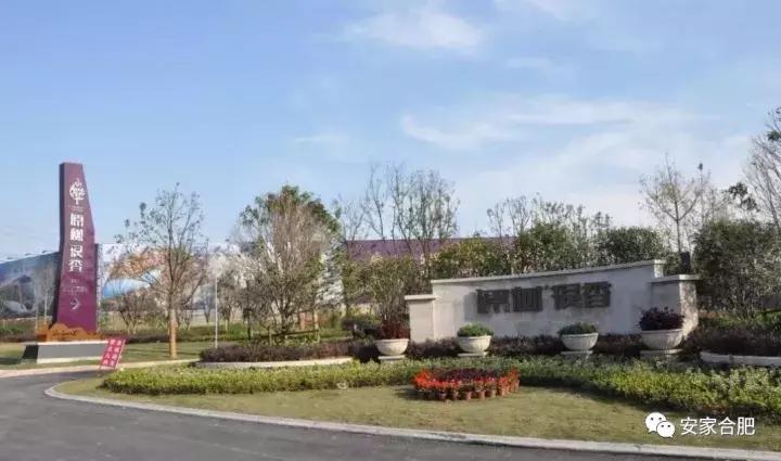 合肥市花园小区,合肥叫花园的小区