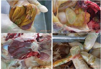 霉菌是如何致癌的,霉菌真的那么可怕吗