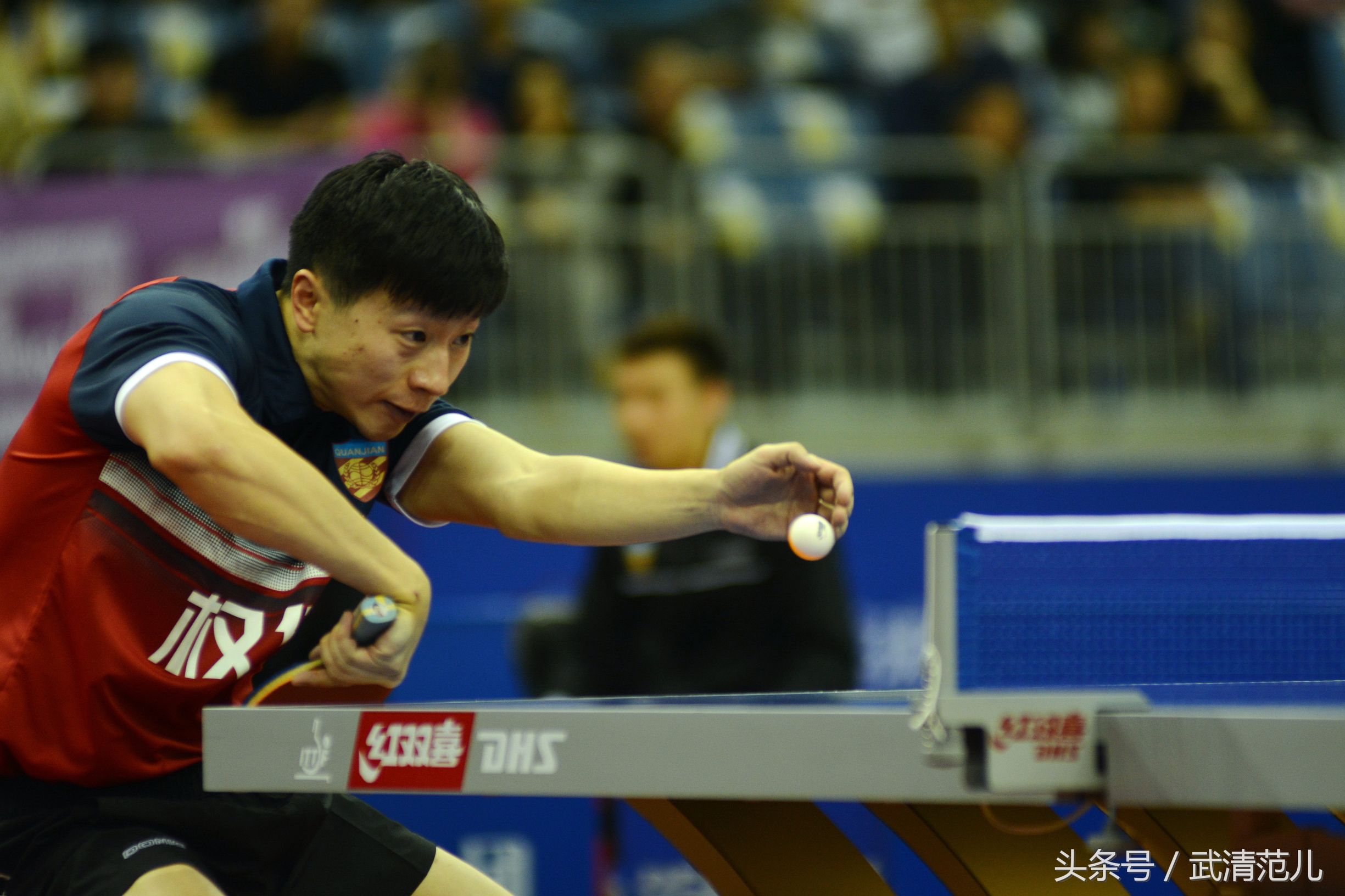 马龙亮相权健,马龙天津权健主场