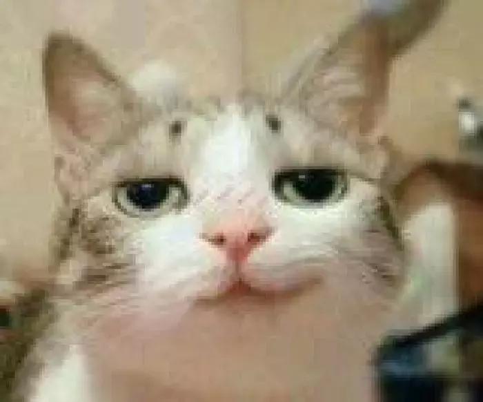 什么牌子的喜糖最好吃,喜糖推荐测评