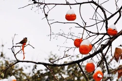 白里透红美颜,白里透红娇颜