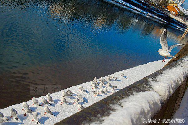 逆天的老人,逆天老人视频