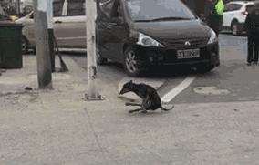 小姐姐你系完鞋带就快起来吧，都被人给看光，你长的好看才提醒你