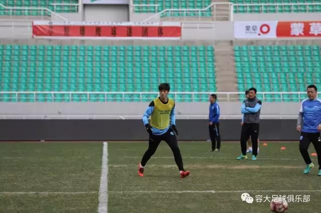 内蒙古小草创作原声,内蒙古小草讲的是什么