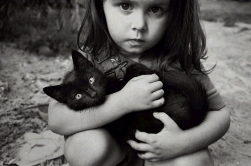 猫被咬伤该怎么处理伤口,被猫咬伤不打针要不要紧