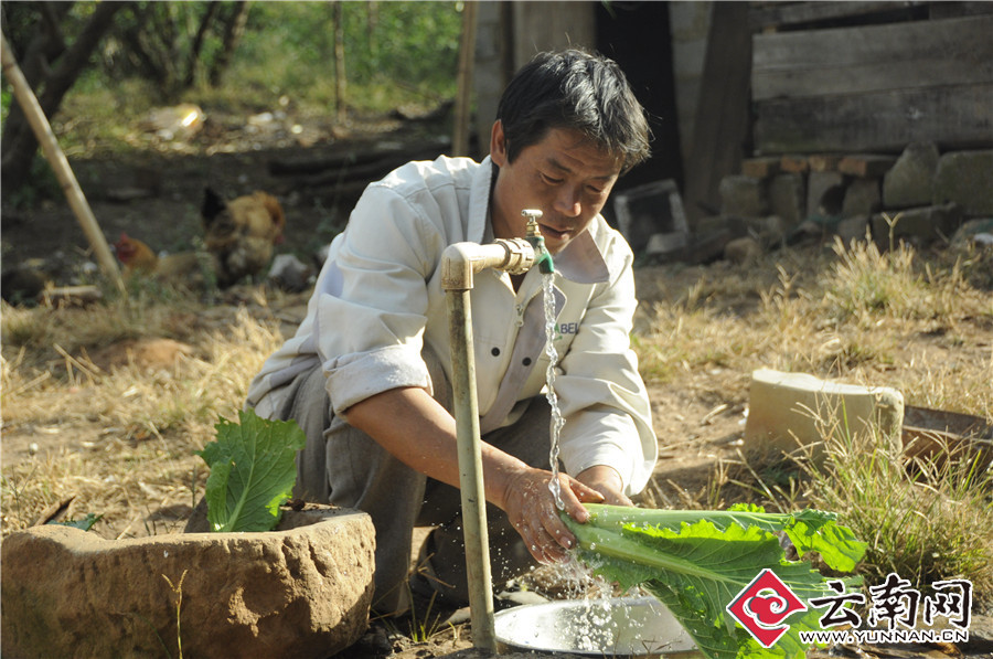 龙头山镇焕新颜医食住行教育一个都不能少