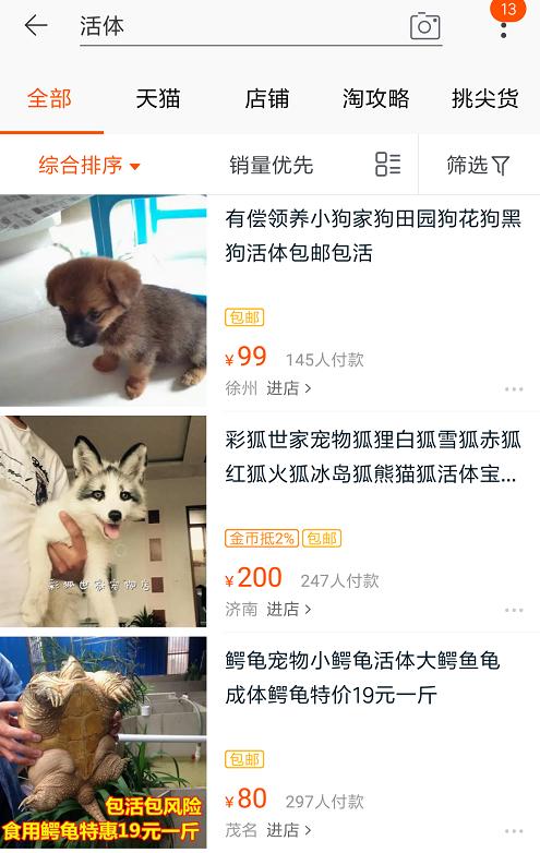 怎样看待网上购买宠物,怎么看待网上买宠物