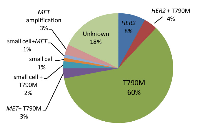 治疗肺癌的易瑞沙,肺癌靶向药易瑞沙价格多少