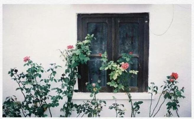 所有的欲擒故纵都是因为不爱,欲擒故纵你才会越来越爱我