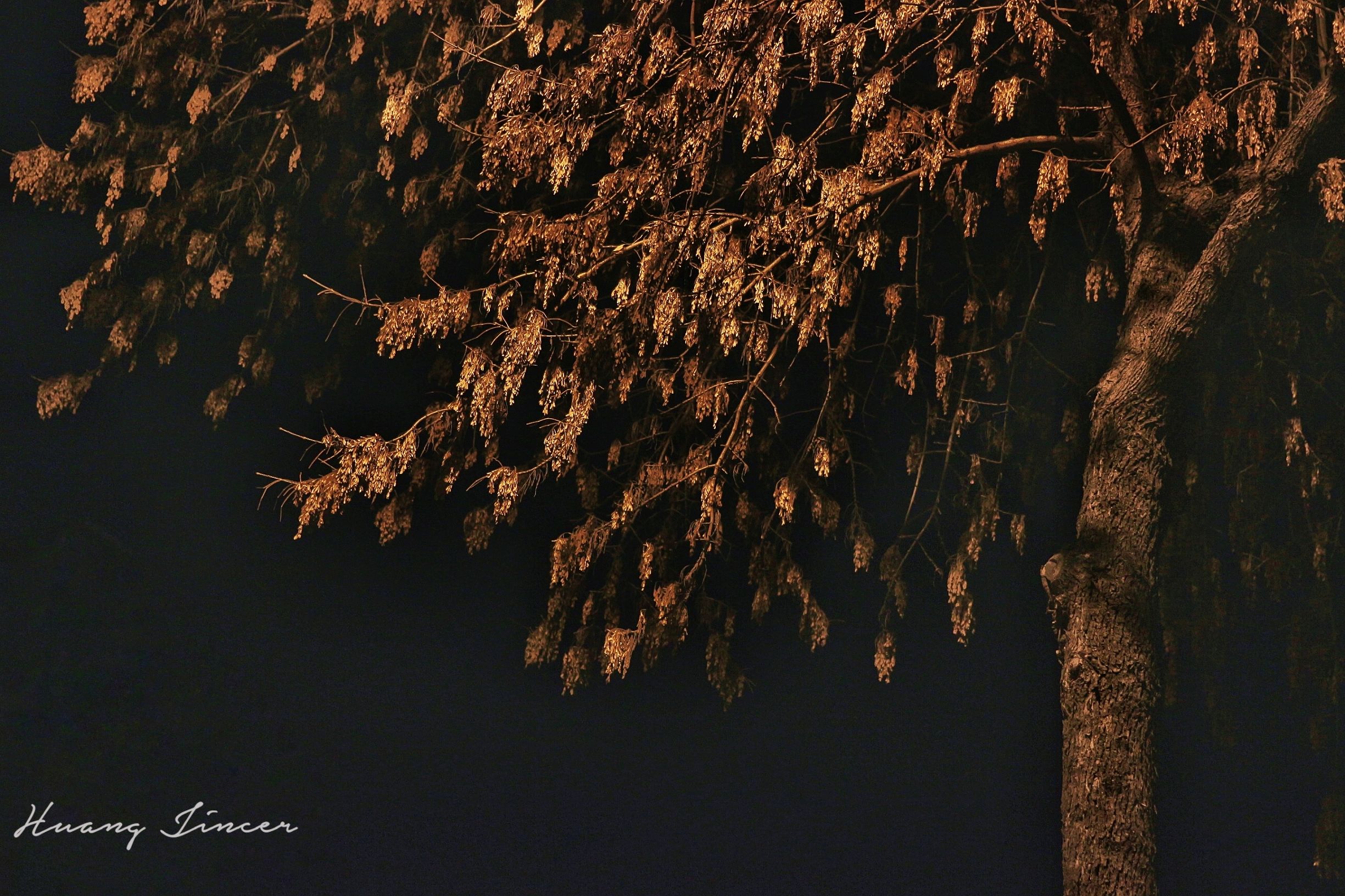 扫街神器相机,佳能相机扫街视频