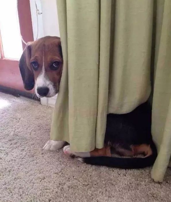 打雷害怕该怎么回复,打雷女生害怕怎么安慰