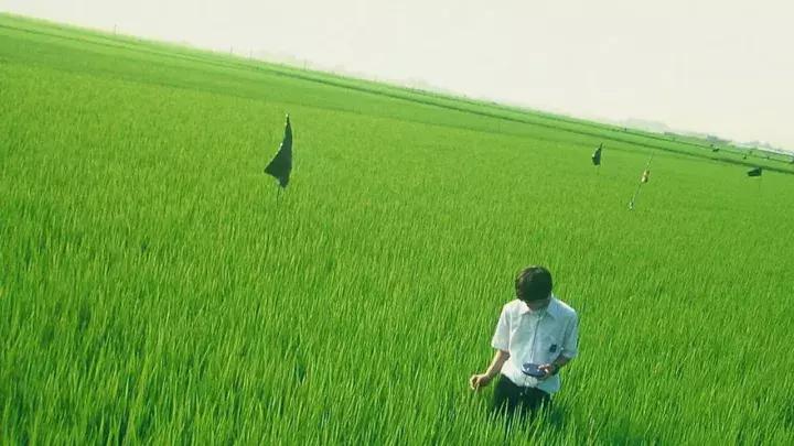 与火山对望的日子,巴厘岛阿贡火山2017年喷发