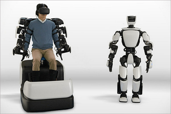 甄子丹吴京武术成就,甄子丹吴京格斗解析