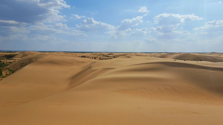 恩格贝沙漠自驾游,走进原始森林房车游记