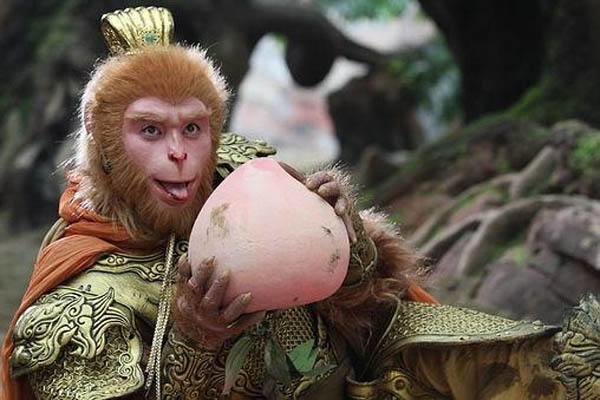 西游记中的四种长生药,西游中吃什么最长生