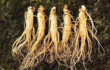 白山地区好的地方特产,白山特产有哪些值得买