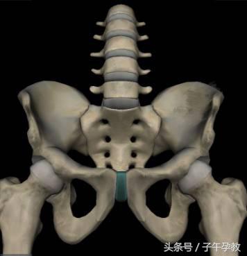 孕期耻骨联合疼痛纠正方法,孕期耻骨联合疼痛改善方案进行中