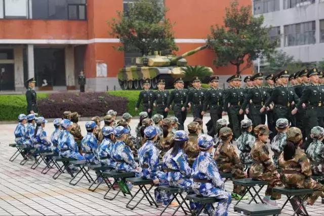 萌化了！这样的“小小兵”你见过吗？