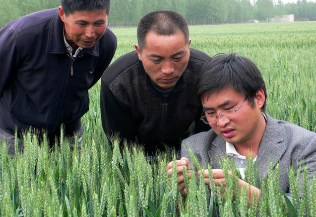 选调生和村官，发展前景有这五种区别！