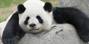 pythonscipy库怎么下载,python怎么安装scipy库