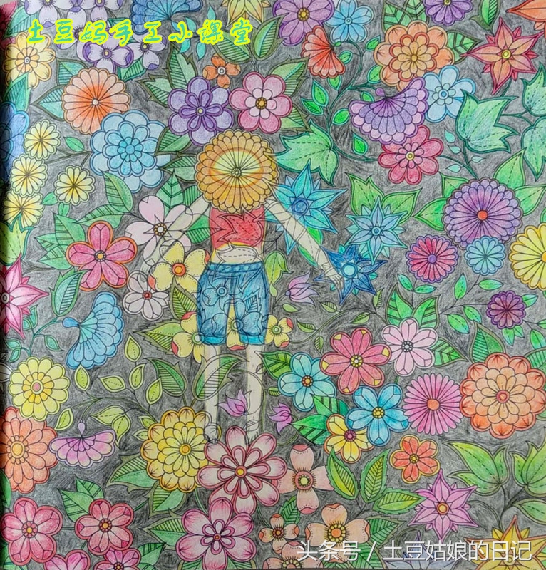 玩秘密花园涂色本,秘密花园涂色本可爱