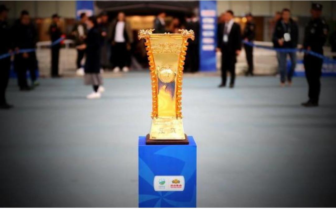 申花击败上港夺冠,申花队对鲁能队足协杯冠军决赛