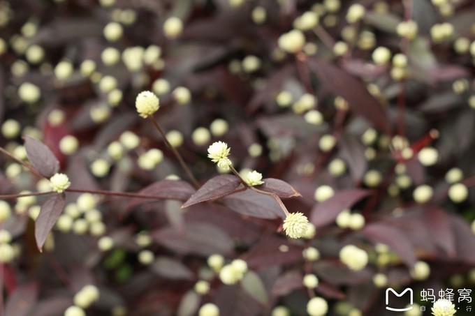 三亚旅游全攻略带孩子必玩,带小孩感受阳光与海滩