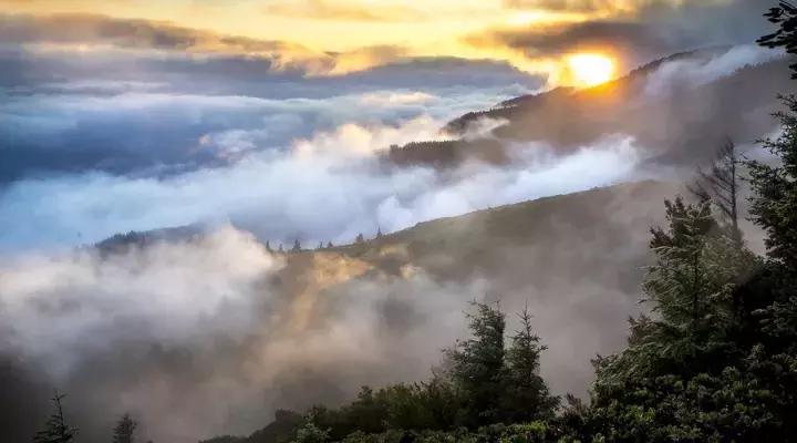 总有一首歌会触动你的心弦,五千年来最触动心灵的十首诗词