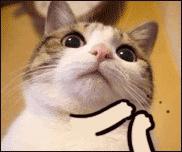 vr版我的世界对面视角,vr裸眼3d视频我的世界