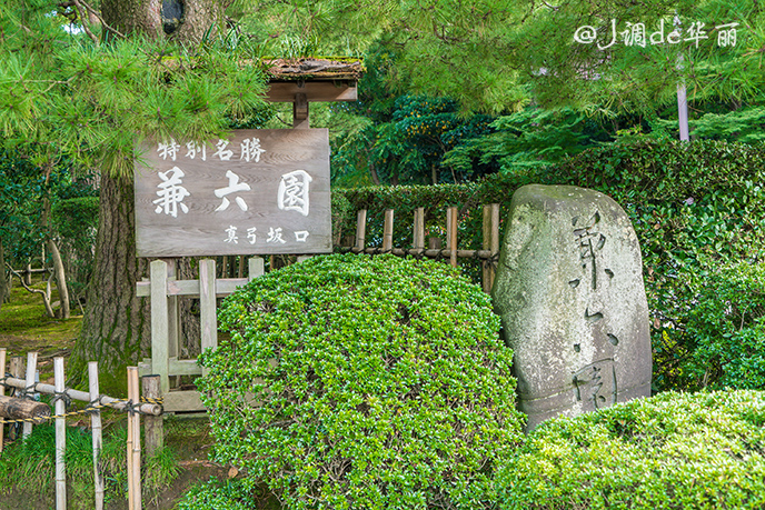 日本金泽旅游,日本金泽美景