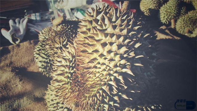 子宫内膜异位症必须在盆腔上吗,子宫内膜异位症能吃石榴吗