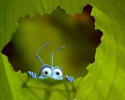 在感情的世界里，一统江湖的唯有爱商