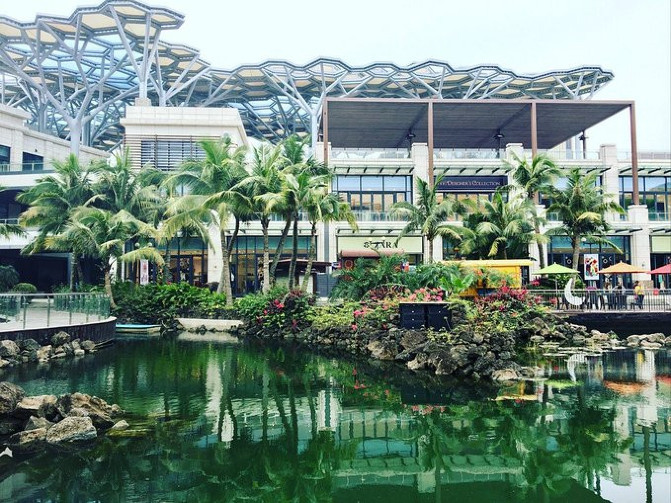 野鹅自驾：3天带你畅玩海口，椰风沐浴，体验不一样的慢旅行！