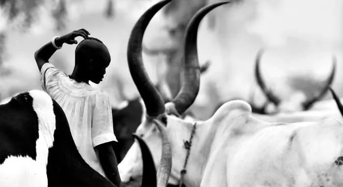 好照片的标准是什么举例说明,好照片的标准是什么