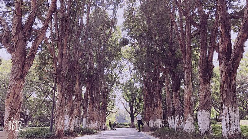 宝安跑步最佳地点,深圳宝安区跑步最佳地点