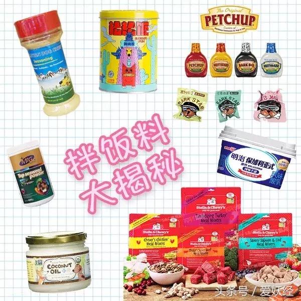 爱妖经|用这些拌饭料来制霸主子的味蕾