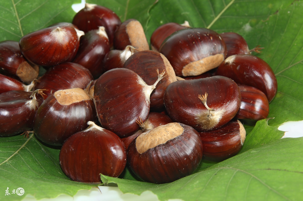 强直性脊柱炎该怎么饮食,强直性脊柱炎如何饮食