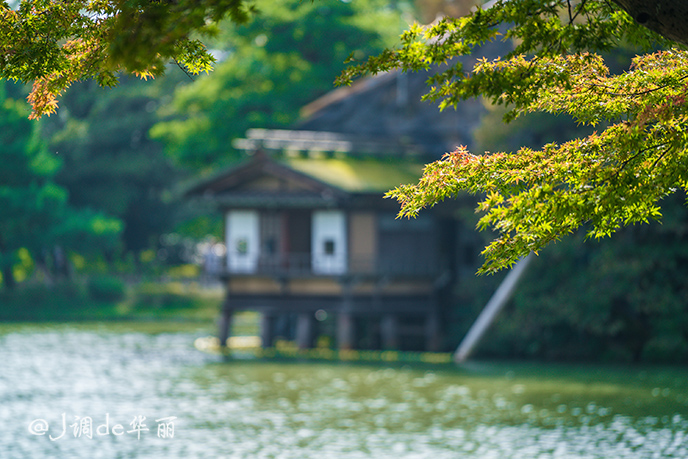 日本金泽看海,日本金泽旅游视频