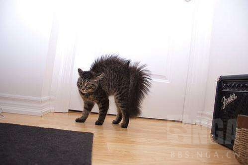 全都太有才了！NGA论坛水友集体COSPLAY魔兽世界技能图标