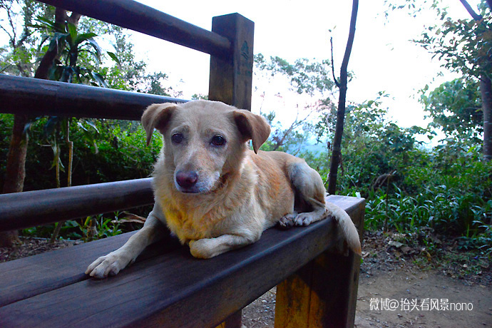 台北象山夜景最美的地方,台北象山夜景