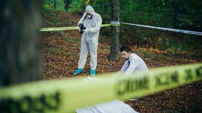 澳大利亚吉祥物袋鼠,澳大利亚的袋鼠伤人事件