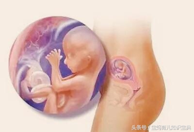 婴儿尿布上出现小血块,出生七天的宝宝尿布上有血